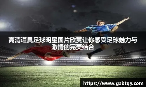 [法甲]第13轮：欧塞尔VS里昂